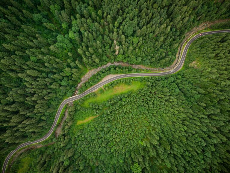 aerial view of a coniferous forest through which a winding road passes in the mountains